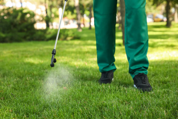 Best Rodent Control Near Me  in Bement, IL