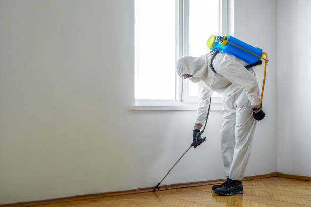 Best Wildlife Control Services  in Bement, IL
