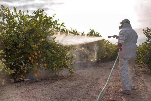 Best Residential Pest Control  in Bement, IL