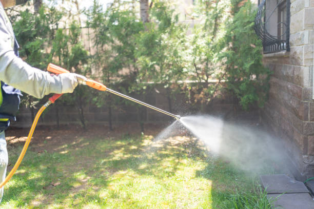 Best Pest Prevention Services  in Bement, IL