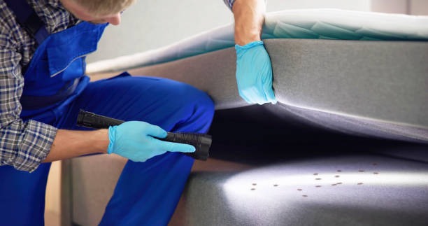 Best Local Pest Control Services  in Bement, IL