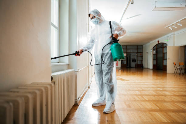 Best Affordable Pest Control Services  in Bement, IL